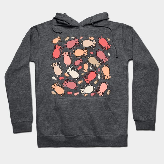 Peach Fuzz Flying Cats Hoodie by ellenhenryart